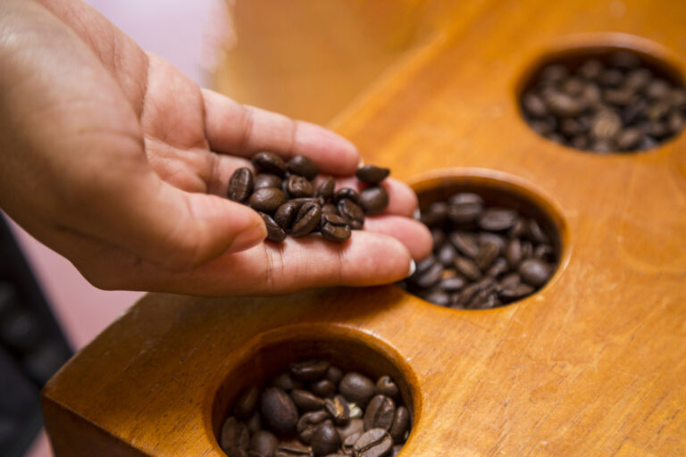 close up female hand holding coffee beans